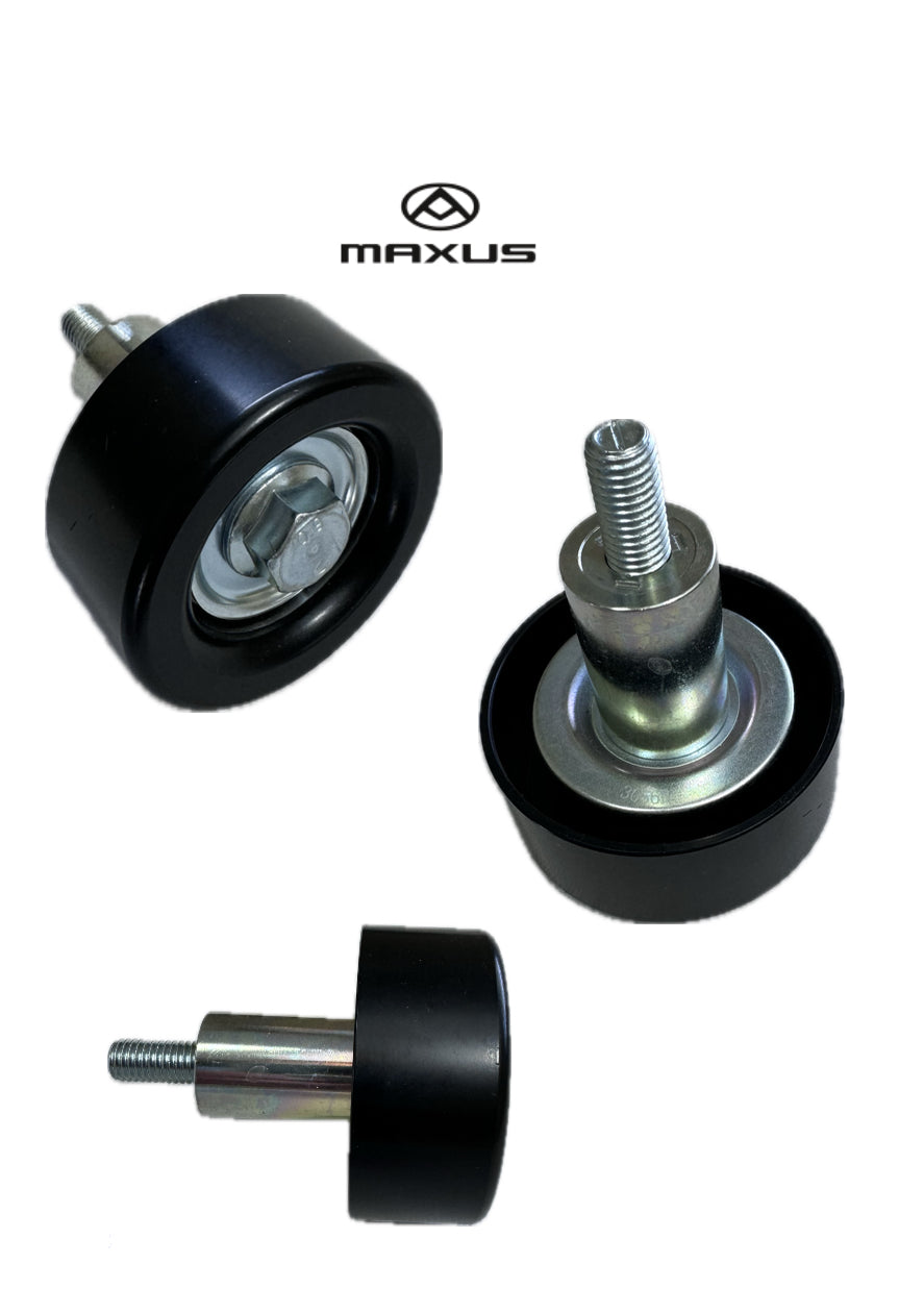 C00079178 Umlenkrolle